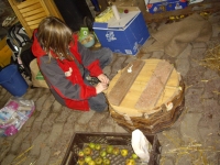 Rabennest