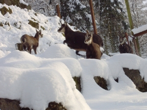 Winterimpressionen 2